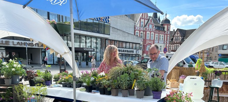 Ein Stand mit zahlreichen Blumen, Stauden und Kräutern auf dem Salhofplatz in Lahnstein. Zwei Personen, eine Frau und ein Mann, betrachten die Pflanzen an einem blau-weißen Marktstand mit Sonnenschirmen. Im Hintergrund sind die Stadthalle, die Volksbank und historische Fachwerkgebäude zu sehen.