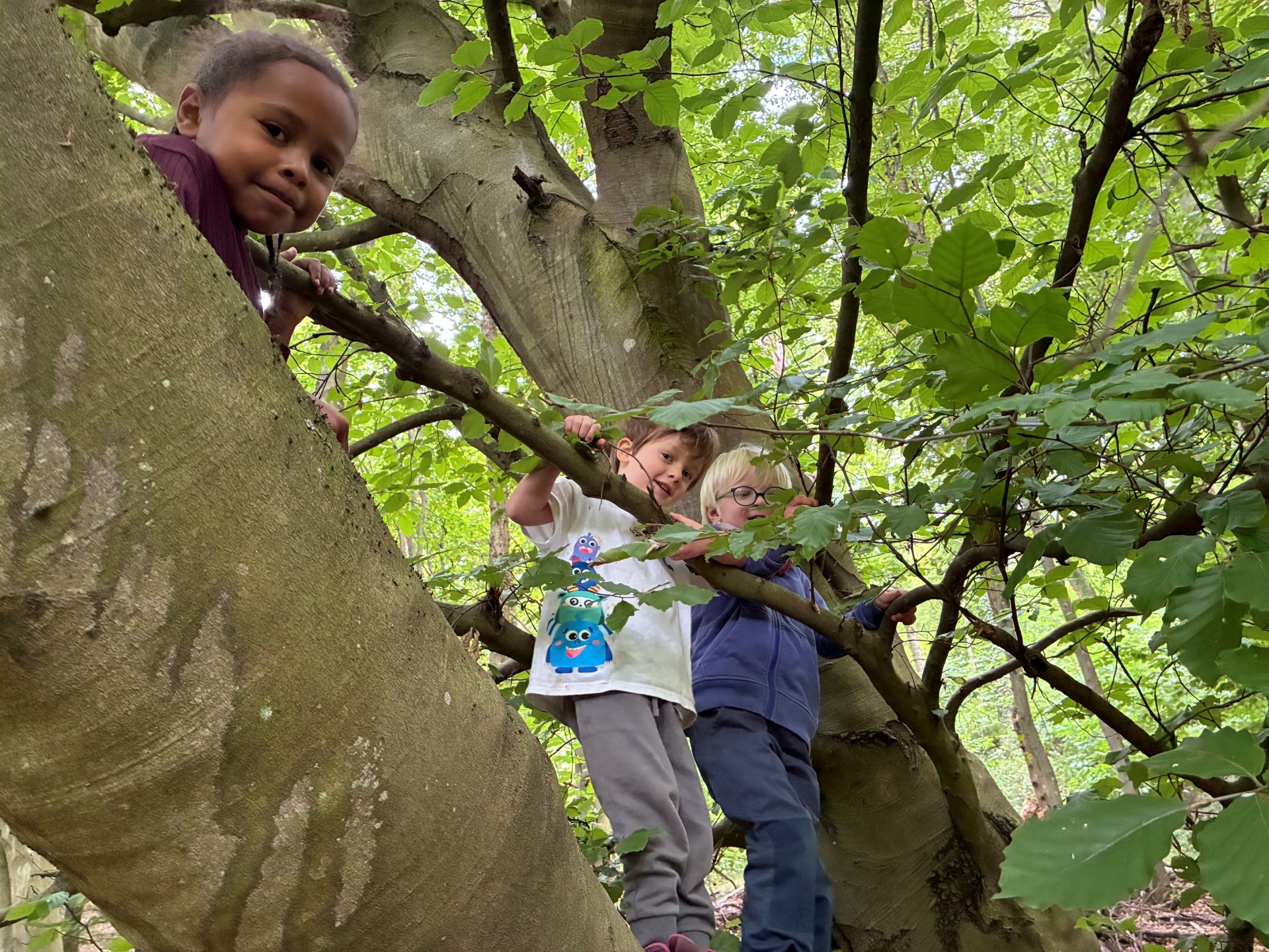 Drei Kinder klettern in den Ästen eines großen Laubbaums im Wald und blicken lächelnd nach unten in die Kamera. Sie halten sich an den kräftigen Ästen fest und sind von dichtem, grünem Blätterdach umgeben. Die Szene vermittelt Abenteuer, Naturverbundenheit und spielerisches Entdecken im Wald.