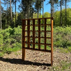 Atemparcours Kur- und Heilwald Lahnstein Ein hölzernes Regal mit mehreren kleinen Fächern steht als Erlebnisstation auf einer mit Holzschnitzeln bedeckten Fläche im Wald. Im Hintergrund sind hohe Nadel- und Laubbäume, dichtes Grün und ein klarer blauer Himmel zu sehen.