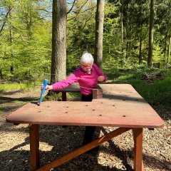 Atemparcours Kur- und Heilwald Lahnstein Eine Frau steht an einer interaktiven Station im Wald und steckt einen blauen Stab in eines der Löcher einer großen Holztischplatte. Die Station befindet sich auf einer mit Holzschnitzeln bedeckten Fläche und ist von hohen Bäumen und frischem Grün umgeben.