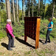 Atemparcours Kur- und Heilwald Lahnstein Zwei Frauen stehen sich an einer hölzernen Spiel- und Erlebnisstation mit mehreren kleinen Fächern im Wald gegenüber. Sie scheinen gemeinsam eine Übung oder ein Spiel durchzuführen. Die Station steht auf einer mit Holzschnitzeln bedeckten Fläche und ist von hohen Bäumen und dichtem Grün umgeben.