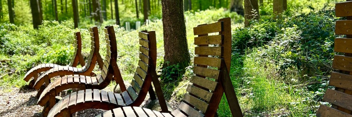 Kur- und Heilwald Lahnstein Atemparours