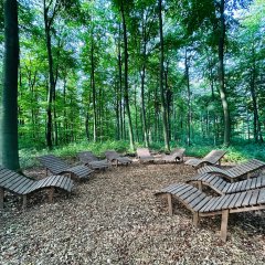 Herz-Kreislauf-Pfad Lahnstein Mitten in einem dicht bewachsenen, grünen Laubwald stehen zahlreiche geschwungene Holzliegen in einem großen Kreis. Die Liegen sind auf einer mit Holzspänen und Laub bedeckten Fläche zwischen hohen Bäumen angeordnet und zur Kreismitte ausgerichtet. Der von dichtem Grün umgebene Ruheplatz vermittelt eine abgeschiedene und naturnahe Atmosphäre.