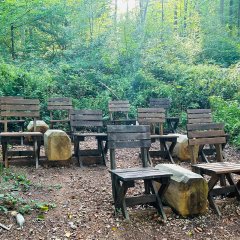 Herz-Kreislauf-Pfad Lahnstein Auf einer kleinen Lichtung mitten im dicht bewachsenen, grünen Wald stehen zahlreiche einfache Holzstühle und massive Holzbalken als Sitzgelegenheiten. Die Stühle sind locker in mehreren Reihen angeordnet und nach vorne ausgerichtet. Der Waldboden ist mit Laub und Holzspänen bedeckt. Dichte Sträucher, Farne und hohe Bäume umgeben den abgeschiedenen Sitzplatz, durch deren Blätter Sonnenlicht auf die Lichtung fällt.