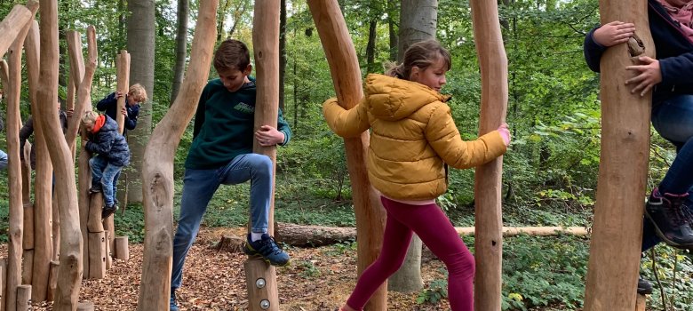 Kinderheilwald Lahnstein Mehrere Kinder balancieren auf einem Bewegungsparcours mitten im Wald. Sie steigen von einem unterschiedlich hohen Holzpfosten zum nächsten und halten sich dabei an hohen, naturbelassenen Holzstämmen fest. Im Vordergrund balancieren ein Mädchen und ein Junge konzentriert über die einzelnen Pfosten, während im Hintergrund weitere Kinder den Parcours durchlaufen. Der Boden ist mit Holzspänen und Laub bedeckt und von dichtem, grünem Wald umgeben.