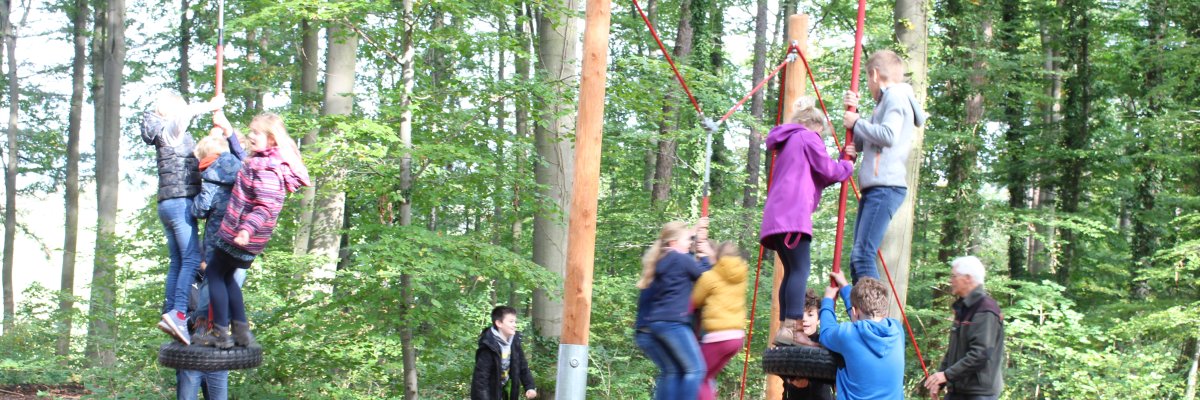 Kinderheilwald Lahnstein Mehrere Kinder spielen auf einem Bewegungs- und Kletterparcours mitten im grünen Laubwald. Sie stehen in kleinen Gruppen auf frei schwingenden Autoreifen und halten sich an roten Seilen fest, die zwischen hohen Holzpfosten gespannt sind. Einige Kinder unterstützen sich gegenseitig beim Balancieren, während zwei Erwachsene die Gruppe begleiten und Hilfestellung geben. Der Waldboden unter dem Parcours ist mit Holzspänen bedeckt.