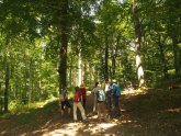 Waldführung durch den Kur - & Heilwald in Lahnstein 