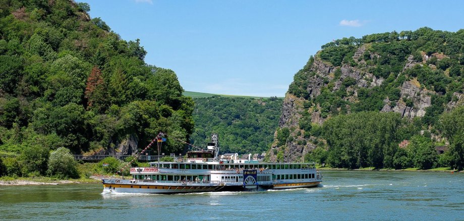 MS Goethe Das historische Schaufelradschiff „Goethe“ fährt bei sonnigem Wetter auf dem Rhein durch das UNESCO-Welterbe Oberes Mittelrheintal. Im Hintergrund erheben sich bewaldete Steilhänge und markante Felsformationen der Loreley, während sich das Schiff ruhig seinen Weg durch den Fluss bahnt.