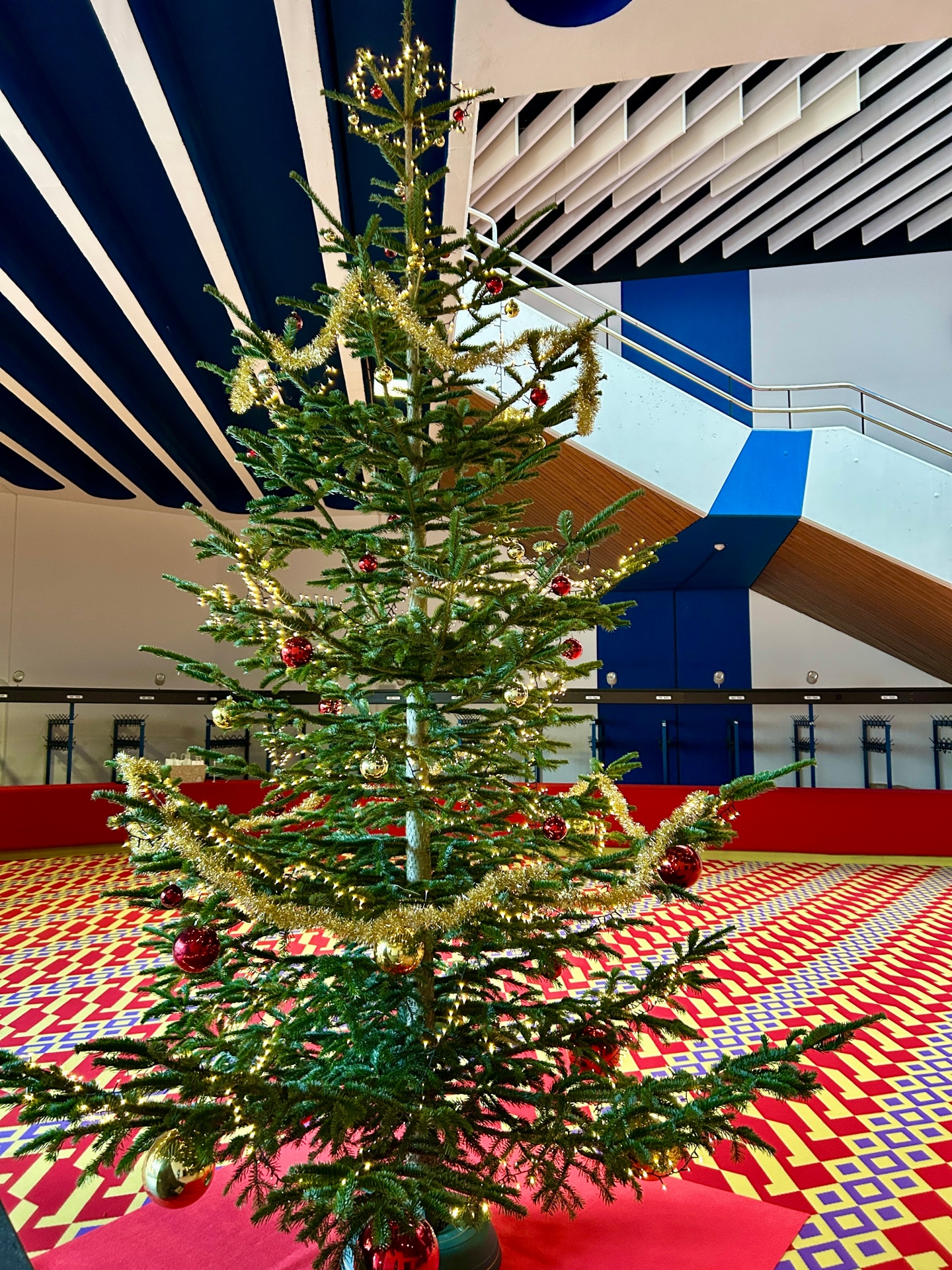 Geschmückter Weihnachtsbaum im Foyer der Stadthalle Lahnstein, der auf dem bunten Teppich steht.