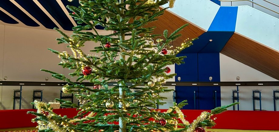 Geschmückter Weihnachtsbaum im Foyer der Stadthalle Lahnstein, der auf dem bunten Teppich steht.