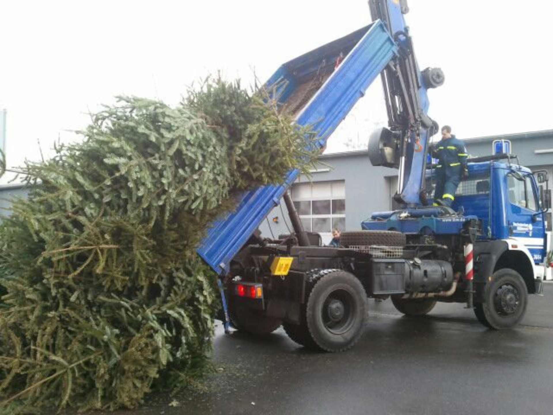 Die Weihnachtsbäume werden auch 2026 wieder durch Freiwillige Feuerwehr und THW abgeholt.