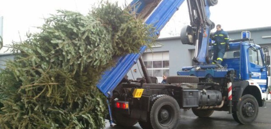Die Weihnachtsbäume werden auch 2026 wieder durch Freiwillige Feuerwehr und THW abgeholt.