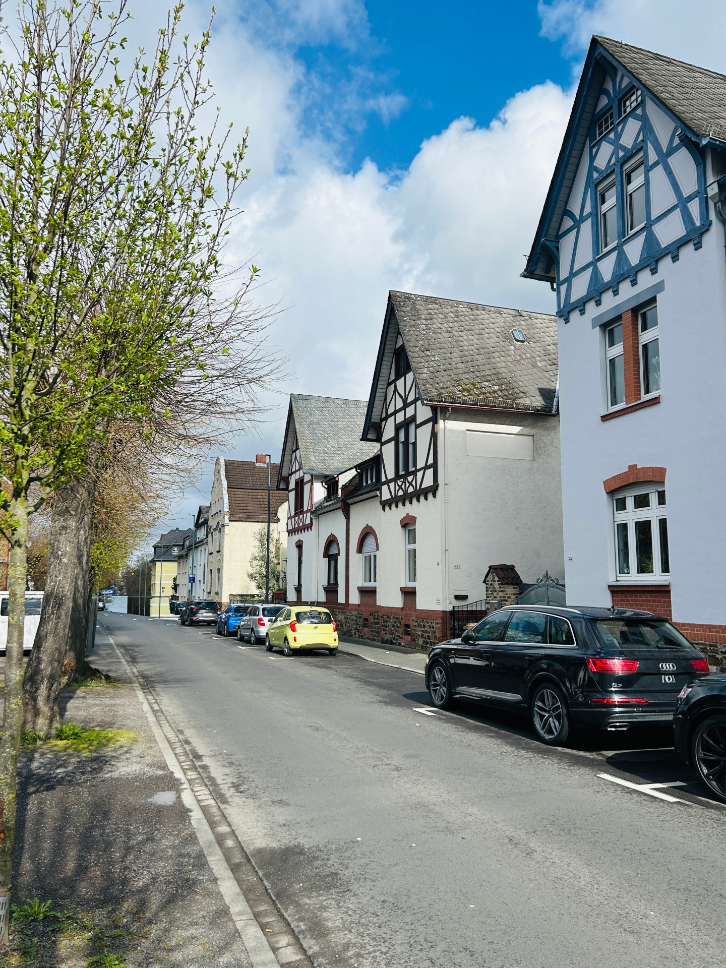 Ruhige Wohnstraße mit parkenden Autos entlang des Fahrbahnrandes. Rechts stehen mehrere Häuser mit teils Fachwerkfassaden, links säumen Bäume den Gehweg, von denen einer frisch austreibt. Über der Straße spannt sich ein blauer Himmel mit einigen Wolken.