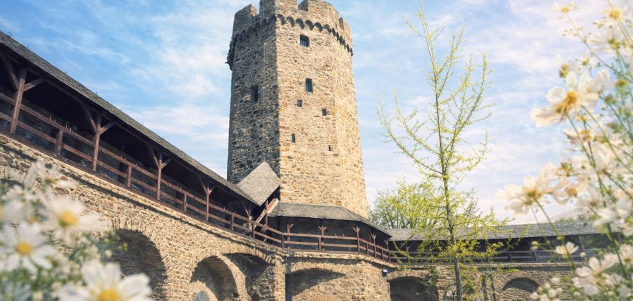 Stilisiertes Bild eines mittelalterlichen Wehrturms mit Wehrgang. Im Vordergrund sind Blumen mit weißen Blüten zu sehen, rechts im Bild ist ein Baum mit dünnen Ästen und hellgrünen Blättern.