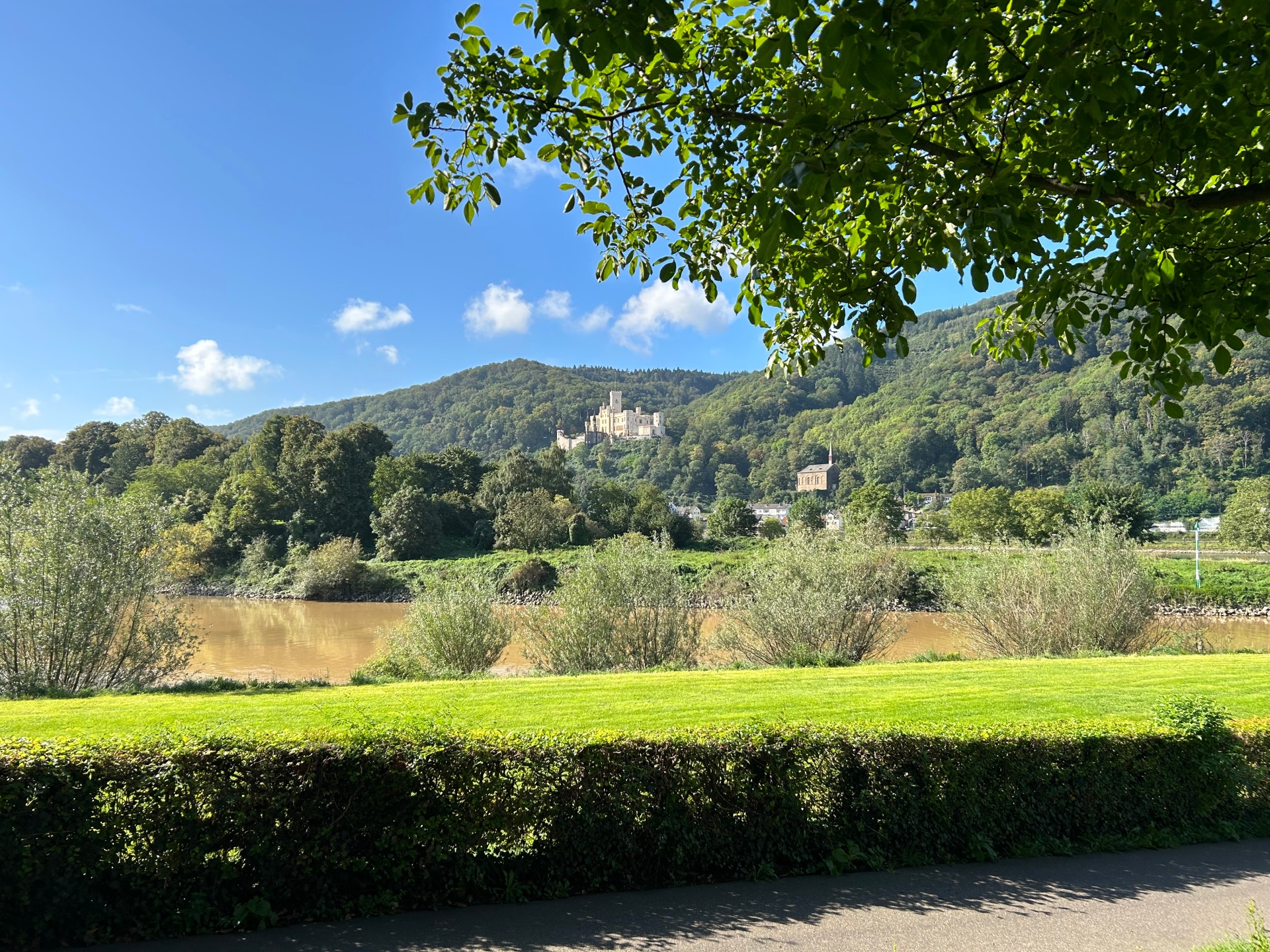 Blick auf eine grüne Flusslandschaft an einem sonnigen Tag: Im Vordergrund verläuft ein Radweg entlang eines Ufers mit Hecke, dahinter fließt ein braun gefärbter Fluss. Auf der gegenüberliegenden Seite erstrecken sich Wiesen und Bäume, darüber erhebt sich ein bewaldeter Hügel mit einem hellen Schlossgebäude und einer Kirche. Blauer Himmel und überhängende Baumzweige rahmen die Szene.