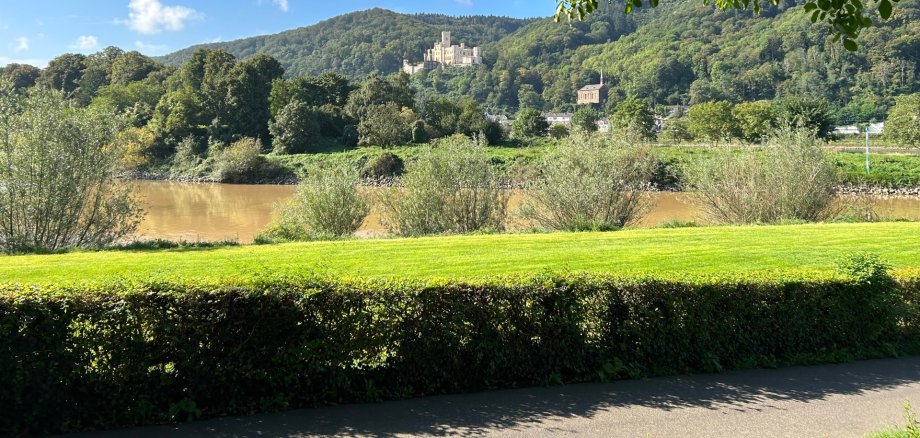 Radweg Niederlahnstein Blick auf eine grüne Flusslandschaft an einem sonnigen Tag: Im Vordergrund verläuft ein Radweg entlang eines Ufers mit Hecke, dahinter fließt ein braun gefärbter Fluss. Auf der gegenüberliegenden Seite erstrecken sich Wiesen und Bäume, darüber erhebt sich ein bewaldeter Hügel mit einem hellen Schlossgebäude und einer Kirche. Blauer Himmel und überhängende Baumzweige rahmen die Szene.