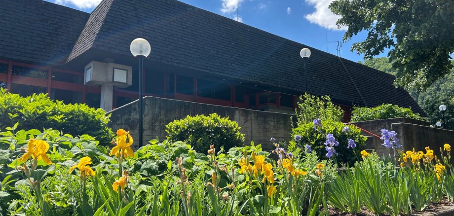 Außenansicht des Lahnsteiner Hallenbads an einem sonnigen Tag. Im Vordergrund blühen leuchtend gelbe und violette Schwertlilien in einem erhöhten Beet. Dahinter ist das markante, dunkle Schieferdach des Schwimmbadgebäudes vor einem blauen Himmel mit Schäfchenwolken zu sehen.