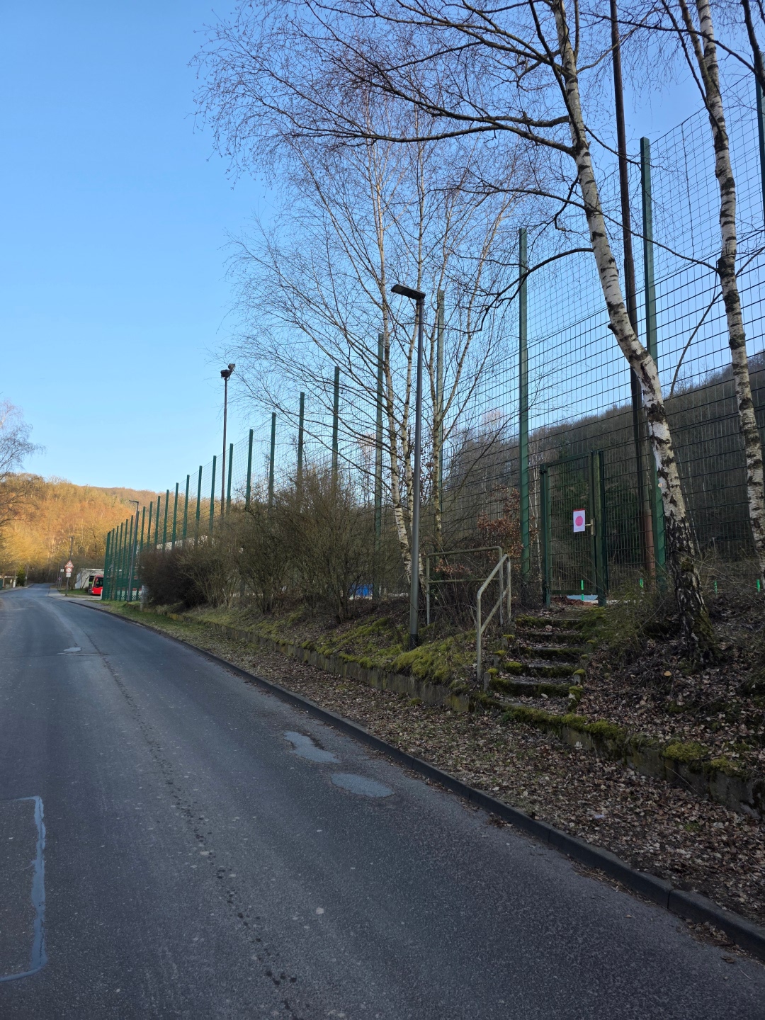 Blick entlang einer schmalen Straße in Friedrichssegen: Rechts verläuft ein hoher grüner Metallzaun entlang eines Sportplatzes, davor stehen mehrere kahle Birken und ein leicht erhöhter, mit Moos bewachsener Rand mit Treppe. Links öffnet sich die Straße mit vereinzelten Verkehrsschildern und einem parkenden Fahrzeug in der Ferne. Klarer Himmel und bewaldete Hügel im Hintergrund.