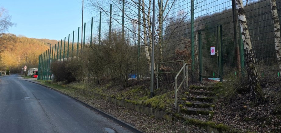 Blick entlang einer schmalen Straße in Friedrichssegen: Rechts verläuft ein hoher grüner Metallzaun entlang eines Sportplatzes, davor stehen mehrere kahle Birken und ein leicht erhöhter, mit Moos bewachsener Rand mit Treppe. Links öffnet sich die Straße mit vereinzelten Verkehrsschildern und einem parkenden Fahrzeug in der Ferne. Klarer Himmel und bewaldete Hügel im Hintergrund.