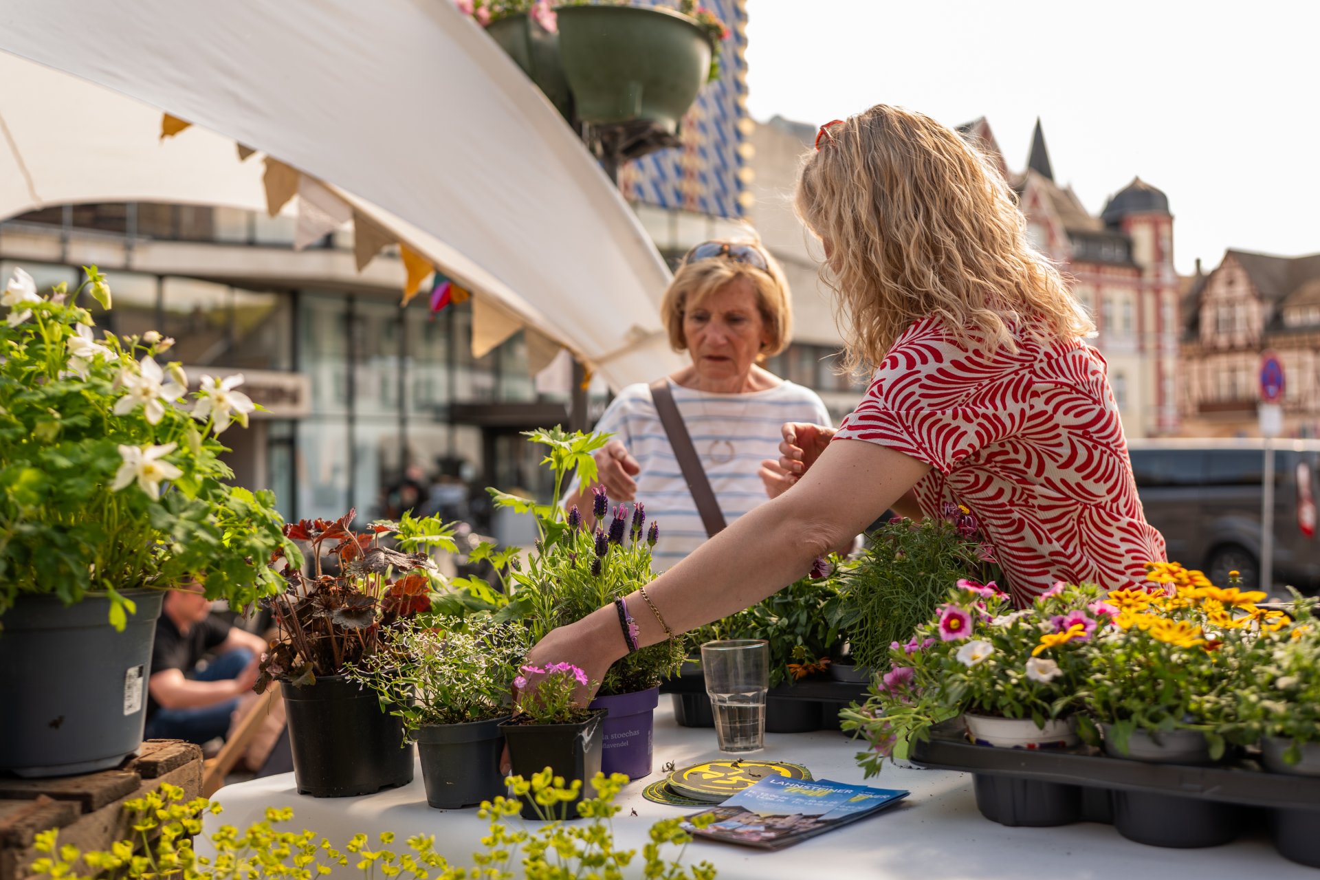 Eine Nahaufnahme an einem Marktstand während der Veranstaltung. Eine Frau im rot-weiß gemusterten Oberteil arrangiert verschiedene Topfpflanzen auf einem weiß gedeckten Tisch, darunter Lavendel und gelbe Blüten. Eine weitere Frau im Hintergrund betrachtet interessiert die Auswahl. Im Hintergrund ist die moderne Glasfassade eines Gebäudes in Lahnstein unter hellem Frühlingshimmel zu erkennen.