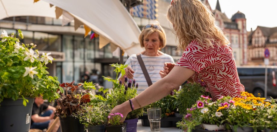 Eine Nahaufnahme an einem Marktstand während der Veranstaltung. Eine Frau im rot-weiß gemusterten Oberteil arrangiert verschiedene Topfpflanzen auf einem weiß gedeckten Tisch, darunter Lavendel und gelbe Blüten. Eine weitere Frau im Hintergrund betrachtet interessiert die Auswahl. Im Hintergrund ist die moderne Glasfassade eines Gebäudes in Lahnstein unter hellem Frühlingshimmel zu erkennen.