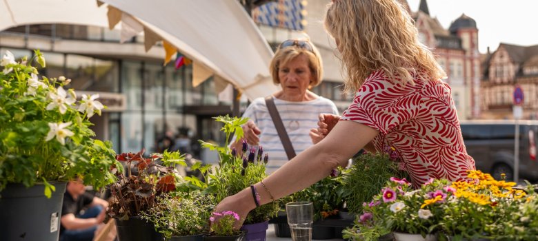 Eine Nahaufnahme an einem Marktstand während der Veranstaltung. Eine Frau im rot-weiß gemusterten Oberteil arrangiert verschiedene Topfpflanzen auf einem weiß gedeckten Tisch, darunter Lavendel und gelbe Blüten. Eine weitere Frau im Hintergrund betrachtet interessiert die Auswahl. Im Hintergrund ist die moderne Glasfassade eines Gebäudes in Lahnstein unter hellem Frühlingshimmel zu erkennen.