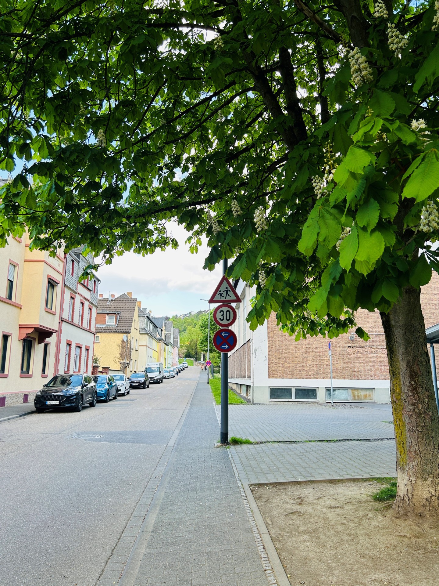 Ruhige Wohnstraße mit geparkten Autos auf der linken Seite und bunten Reihenhäusern. Im Vordergrund ist ein großer, grün belaubter Kastanienbaum, der den Gehweg überschattet. Ein Straßenschild weist auf eine Tempo-30-Zone und einen Fußgängerbereich hin. Rechts ist eine freie Fläche mit Pflastersteinen und ein Gebäudewand zu sehen, im Hintergrund führt die Straße leicht bergauf.