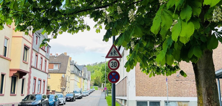 Baumpflegearbeiten im April und Mai Ruhige Wohnstraße mit geparkten Autos auf der linken Seite und bunten Reihenhäusern. Im Vordergrund ist ein großer, grün belaubter Kastanienbaum, der den Gehweg überschattet. Ein Straßenschild weist auf eine Tempo-30-Zone und einen Fußgängerbereich hin. Rechts ist eine freie Fläche mit Pflastersteinen und ein Gebäudewand zu sehen, im Hintergrund führt die Straße leicht bergauf.