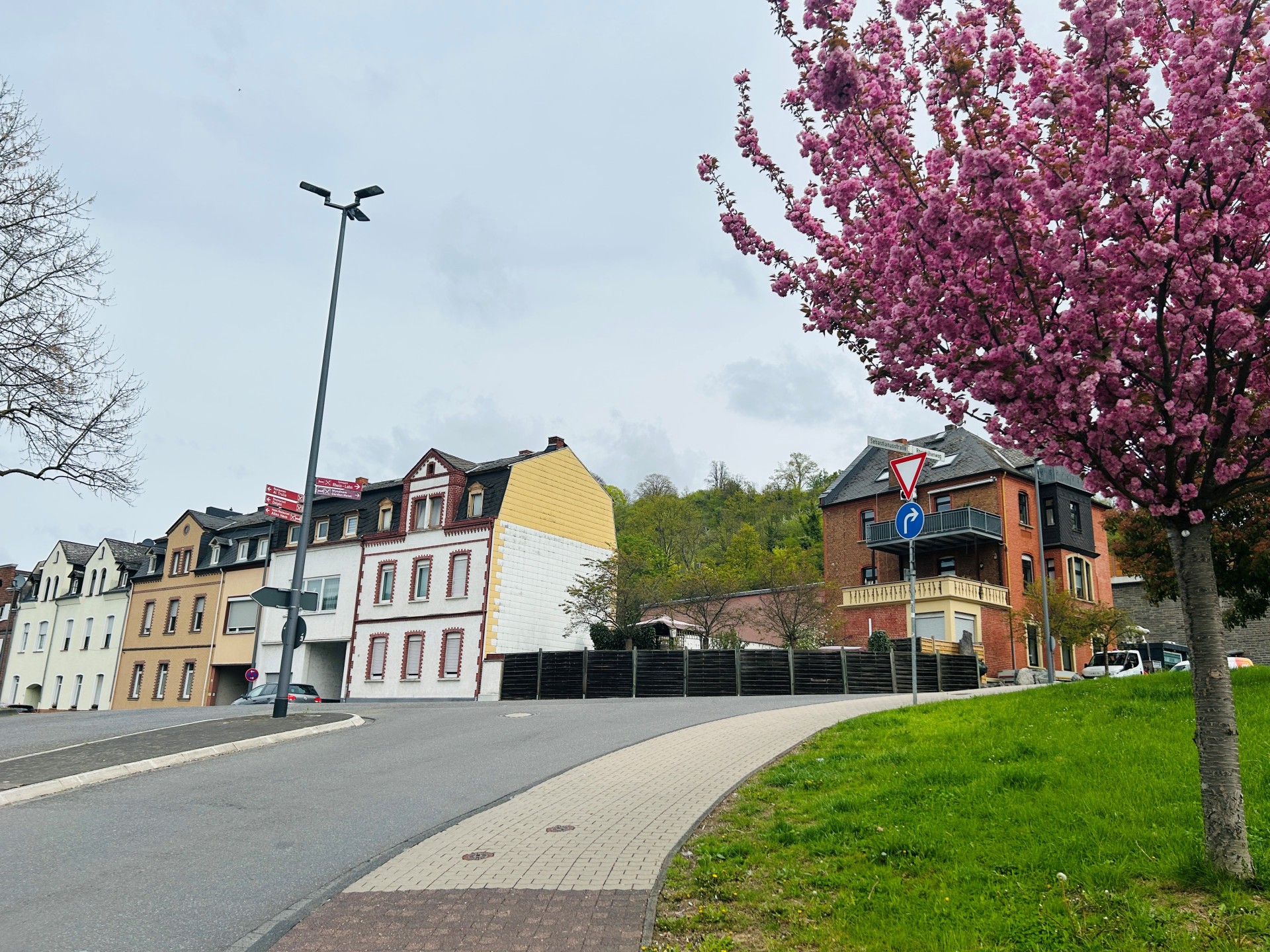 Blick bergauf in die Sebastianusstraße in Lahnstein an einem bewölkten Tag. Rechts im Vordergrund steht ein Baum mit üppigen rosa Blüten. An der ansteigenden Straße sind Autos vor einer Mischung aus modernen und historischen Stadthäusern. Ein Straßenschild weist den Weg nach rechts.