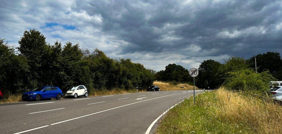 Landstraße Lahnstein auf der Höhe Eine zweispurige Landstraße führt durch eine leichte Rechtskurve und ist von Bäumen, Sträuchern und hohen Gräsern gesäumt. Am rechten Fahrbahnrand steht ein Verkehrszeichen mit einer zulässigen Höchstgeschwindigkeit von 70 km/h. Mehrere geparkte Fahrzeuge befinden sich am Straßenrand. Über der Szene ziehen dichte, dunkle Wolken auf, während zwischen ihnen vereinzelt blauer Himmel zu sehen ist.