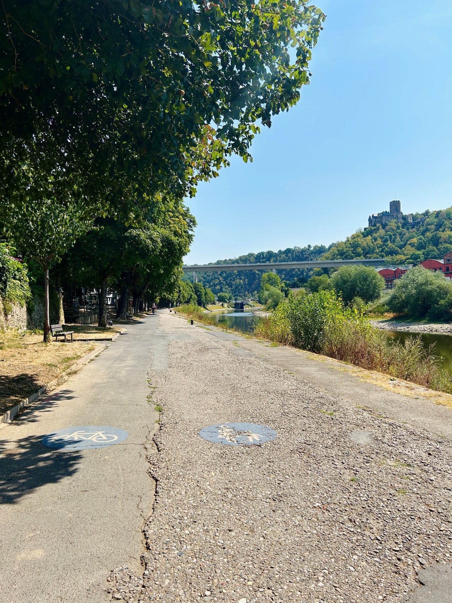Ein asphaltierter Leinpfad verläuft entlang eines Flusses und ist mit Symbolen für Radfahrende und Fußgänger markiert. Links säumen große Bäume den Weg und spenden Schatten, rechts fließt der Fluss mit dichtem Uferbewuchs. Im Hintergrund überspannt eine Brücke das Tal, darüber erhebt sich auf einem bewaldeten Hügel eine Burg unter einem wolkenlosen blauen Himmel.