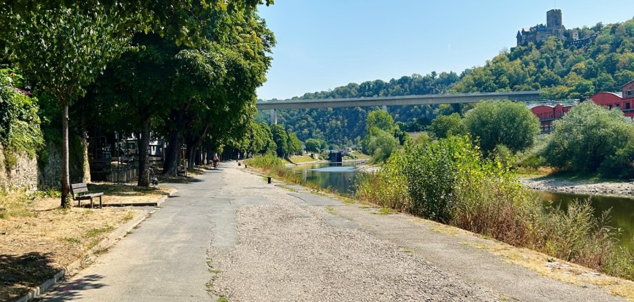 Lahnufer Niederlahnstein Ein asphaltierter Leinpfad verläuft entlang eines Flusses und ist mit Symbolen für Radfahrende und Fußgänger markiert. Links säumen große Bäume den Weg und spenden Schatten, rechts fließt der Fluss mit dichtem Uferbewuchs. Im Hintergrund überspannt eine Brücke das Tal, darüber erhebt sich auf einem bewaldeten Hügel eine Burg unter einem wolkenlosen blauen Himmel.