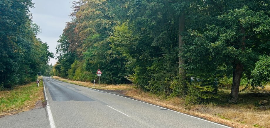 Zweispurige Landstraße, die durch ein dicht bewaldetes Gebiet führt. Am Straßenrand stehen Leitpfosten und ein dreieckiges Warnschild. Der Asphalt weist unterschiedlich gefärbte Fahrbahnabschnitte auf; der Himmel ist grau und bewölkt.