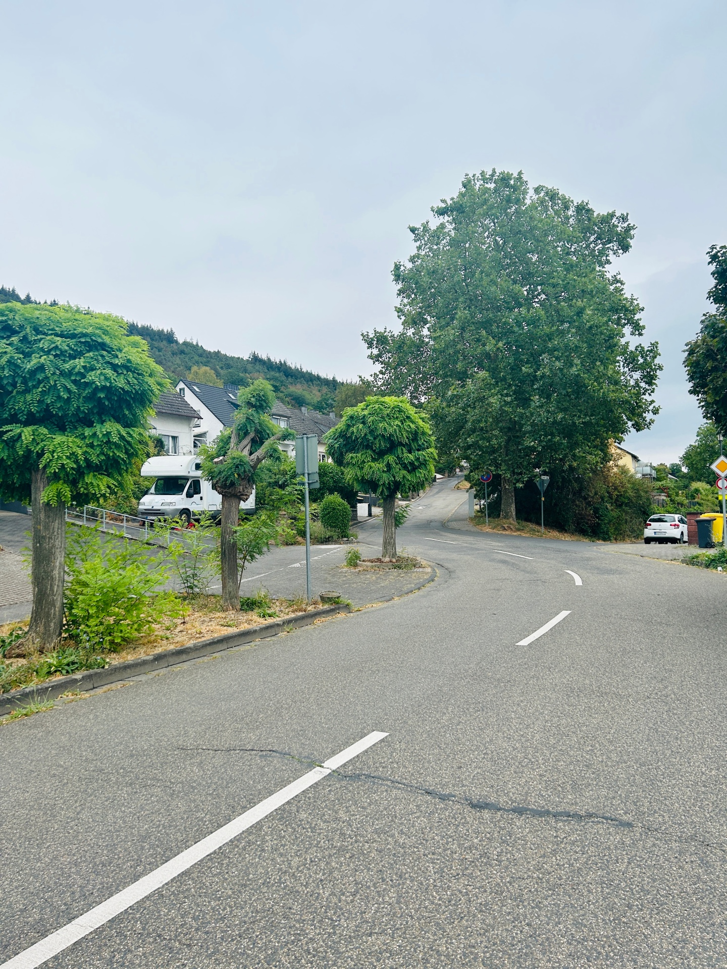 Straße in einem Wohngebiet mit mehreren stark zurückgeschnittenen und kugelförmig gewachsenen Bäumen am Straßenrand. Im Hintergrund stehen Wohnhäuser vor einem bewaldeten Hang. Der Himmel ist grau und bewölkt.