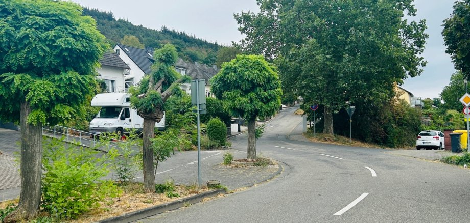 Straße in einem Wohngebiet mit mehreren stark zurückgeschnittenen und kugelförmig gewachsenen Bäumen am Straßenrand. Im Hintergrund stehen Wohnhäuser vor einem bewaldeten Hang. Der Himmel ist grau und bewölkt.