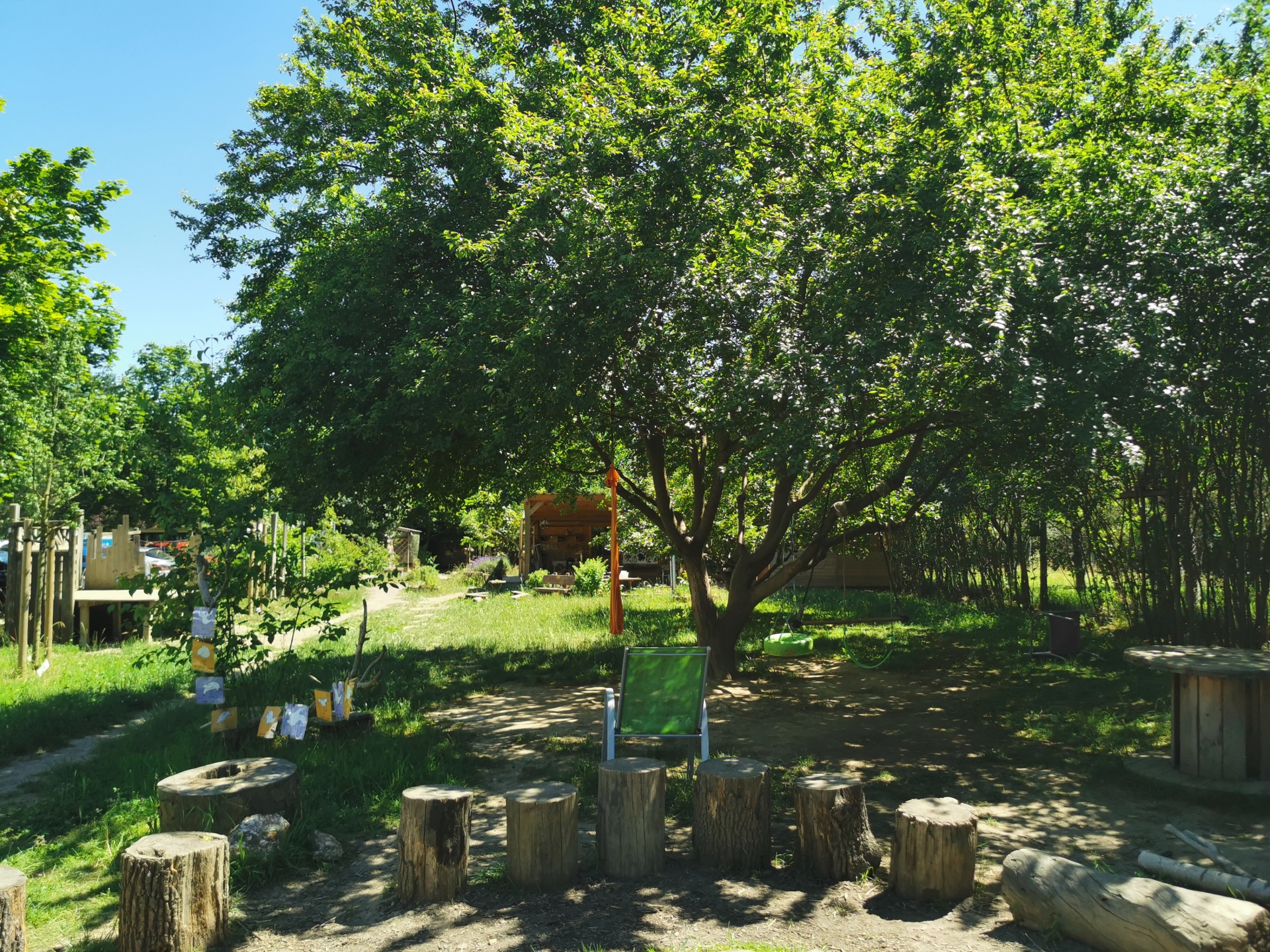 Naturbelassenes Gelände des Waldkindergartens Lahnstein mit Feuerstelle, vielen Bäumen und Wiese