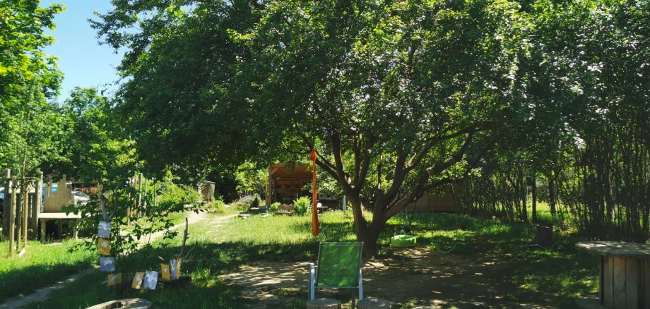 Tag der offenen Tür im Waldkindergarten Lahnstein Naturbelassenes Gelände des Waldkindergartens Lahnstein mit Feuerstelle, vielen Bäumen und Wiese