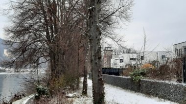 Eine Winterlandschaft mit blätterlosen Bäumen im Vordergrund. Links fließt der Rhein und im Hintergrund ist Schloss Stolzenfels in Koblenz zu sehen. Rechts sind Häuser im Wohngebiet Rheinquartier in Lahnstein erkennbar.