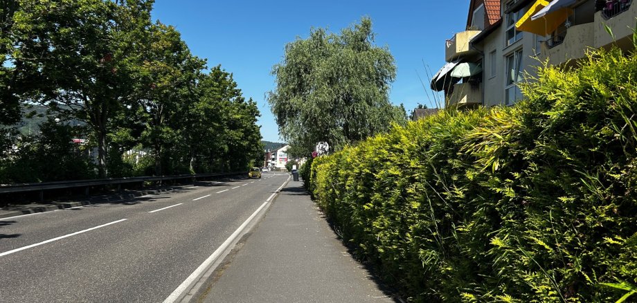 Blick entlang einer breiten Straße an einem sonnigen Sommertag. Links säumen hohe, dicht belaubte Bäume die Fahrbahn, rechts verläuft ein Gehweg entlang einer Hecke und eines Mehrfamilienhauses mit Balkonen. Der Himmel ist wolkenlos und tiefblau, die Straße ist nur wenig befahren. Im Hintergrund sind weitere Gebäude und ein Fahrzeug zu erkennen.