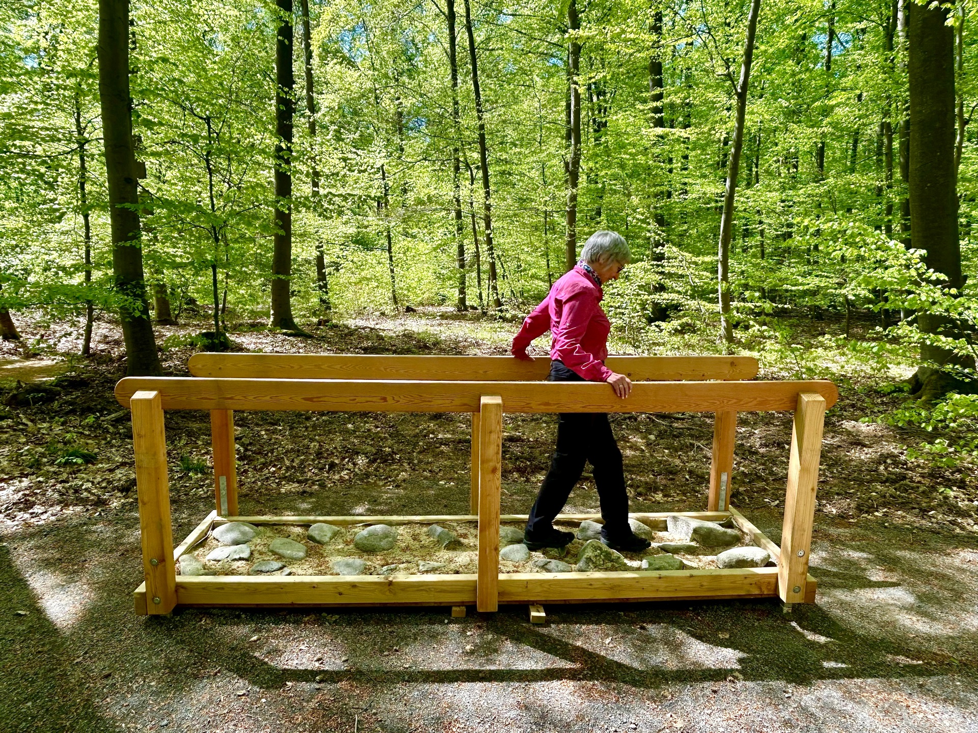 Eine Person in pinker Jacke und mit kurzen, grauen Haaren balanciert über einen schmalen Pfad mit unterschiedlich großen Steinen, der von einem hölzernen Geländer eingerahmt ist. Die Szene spielt in einem sonnendurchfluteten, grünen Wald mit dicht stehenden Bäumen und frischem Laub, wodurch eine ruhige und naturnahe Atmosphäre entsteht.