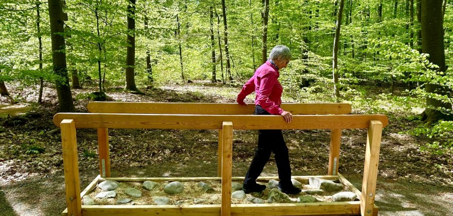 Eine Person in pinker Jacke und mit kurzen, grauen Haaren balanciert über einen schmalen Pfad mit unterschiedlich großen Steinen, der von einem hölzernen Geländer eingerahmt ist. Die Szene spielt in einem sonnendurchfluteten, grünen Wald mit dicht stehenden Bäumen und frischem Laub, wodurch eine ruhige und naturnahe Atmosphäre entsteht.