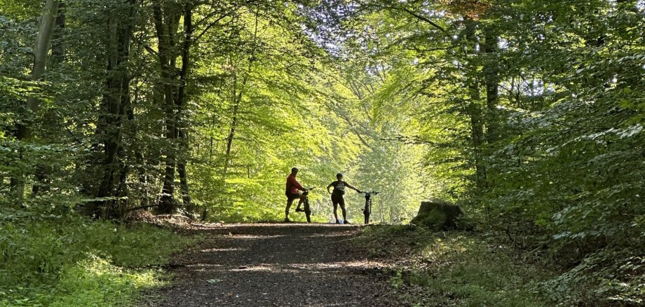 Lahnstein tritt kräftig in die Pedale: Über 45.000 Kilometer für das Klima Ein Foto aus dem Inneren eines dichten, schattigen Waldes mit einem Schotterweg, der in die Ferne führt. Am Ende des Weges, wo das helle Licht durch die Bäume bricht, stehen die Silhouetten von zwei Personen, die sich auf ihre Fahrräder stützen.
