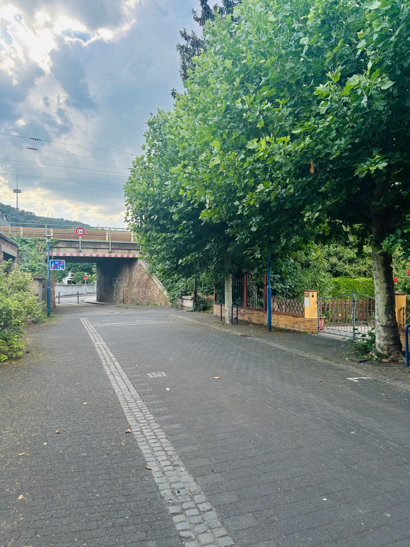 Blick entlang einer ruhigen Straße in Niederlahnstein mit mehreren großen Platanen am rechten Fahrbahnrand. Im Hintergrund führt die Straße unter einer Eisenbahnbrücke hindurch. Über den dicht belaubten Bäumen ziehen dunkle Wolken auf, während einzelne Sonnenstrahlen durch die Wolkendecke brechen.