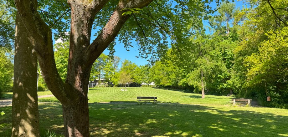 Ernst-Wagner-Park Ein Park mit grüner Wiese und grünen Bäumen