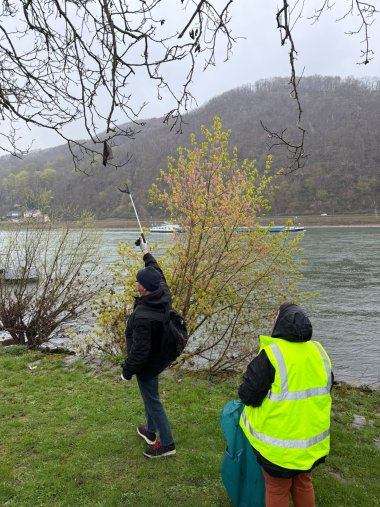 Zwei Personen beteiligen sich an einer Müllsammelaktion am Ufer eines Flusses. Eine Person trägt eine leuchtend gelbe Warnweste und hält einen blauen Müllsack, während die andere mit einem Greifwerkzeug versucht, einen Gegenstand aus den Ästen eines Baumes zu entfernen. Im Hintergrund fließt der Rhein, auf dem ein Güterschiff fährt; dahinter ist ein bewaldeter Hang zu sehen.