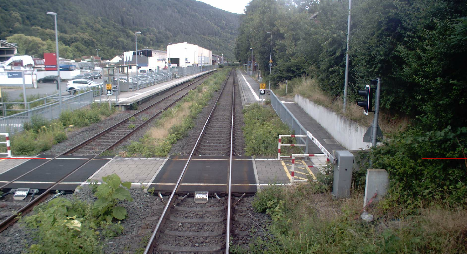 Schienen mit einem Fußgängerüberweg und Bewuchs im Gleisbett auf beiden Seiten