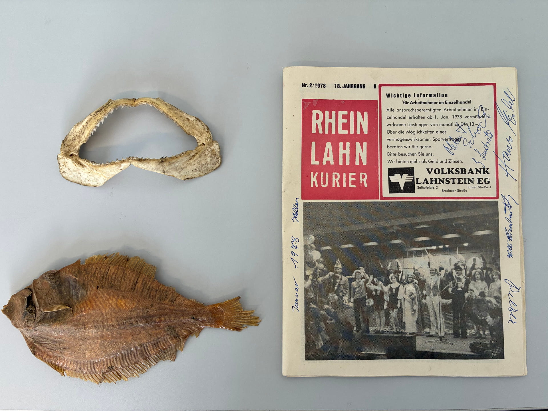 Auf einer hellen Fläche liegen drei Gegenstände: rechts eine Ausgabe des ‚Rhein-Lahn-Kuriers‘ von 1978 mit handschriftlichen Unterschriften, links oben ein gebogener Fischkiefer mit Zähnen und links unten ein getrockneter, halbierter Fisch.