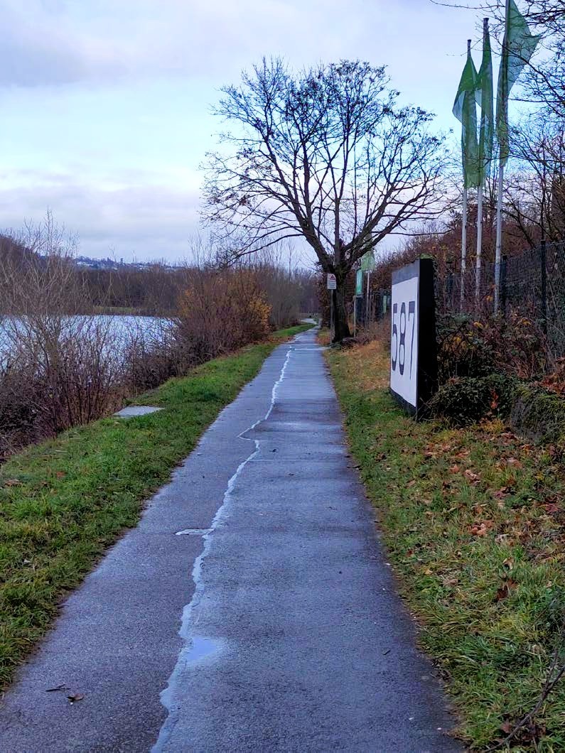 Schmaler asphaltierter Geh- und Radweg entlang des Rheinufers in Niederlahnstein an einem bewölkten Tag. Links verläuft der Rhein mit Uferbewuchs, rechts stehen Bäume, Zäune und ein Schild der Hafenbetriebe.