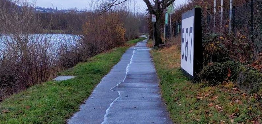 Schmaler asphaltierter Geh- und Radweg entlang des Rheinufers in Niederlahnstein an einem bewölkten Tag. Links verläuft der Rhein mit Uferbewuchs, rechts stehen Bäume, Zäune und ein Schild der Hafenbetriebe.