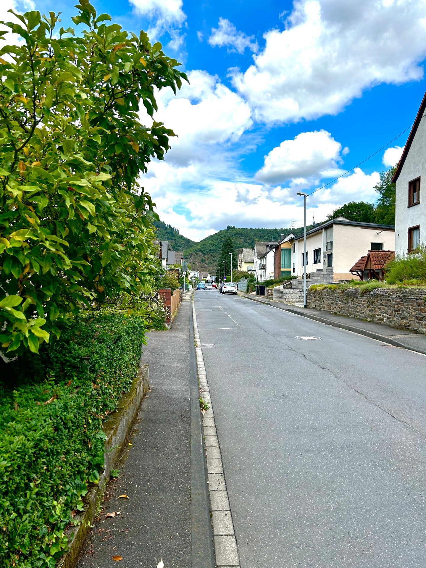 Blick entlang der Straße Hohenrhein in Lahnstein. Die asphaltierte Straße verläuft zwischen Wohnhäusern und begrünten Grundstücken. Links säumen Bäume und Sträucher den Gehweg, im Hintergrund sind bewaldete Hügel unter einem blau-weiß bewölkten Himmel zu sehen.